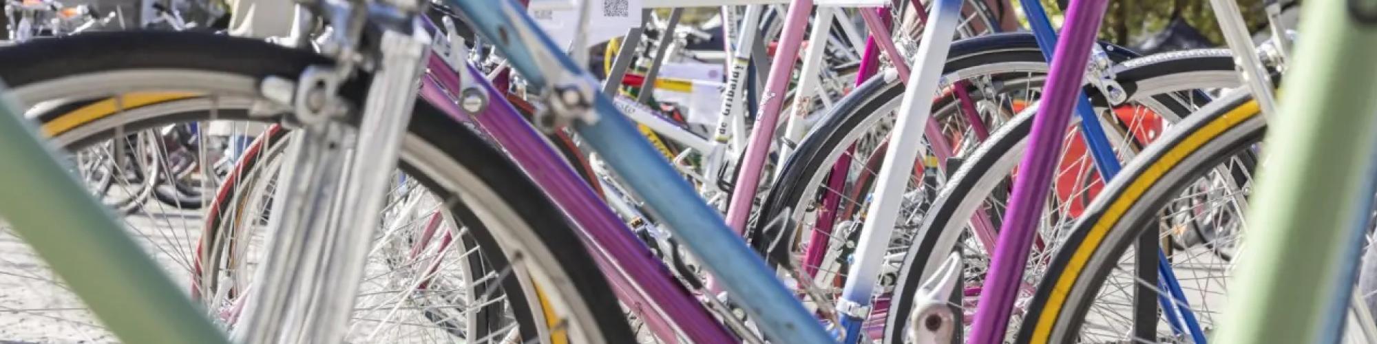 Pro Velo Kanton Zürich