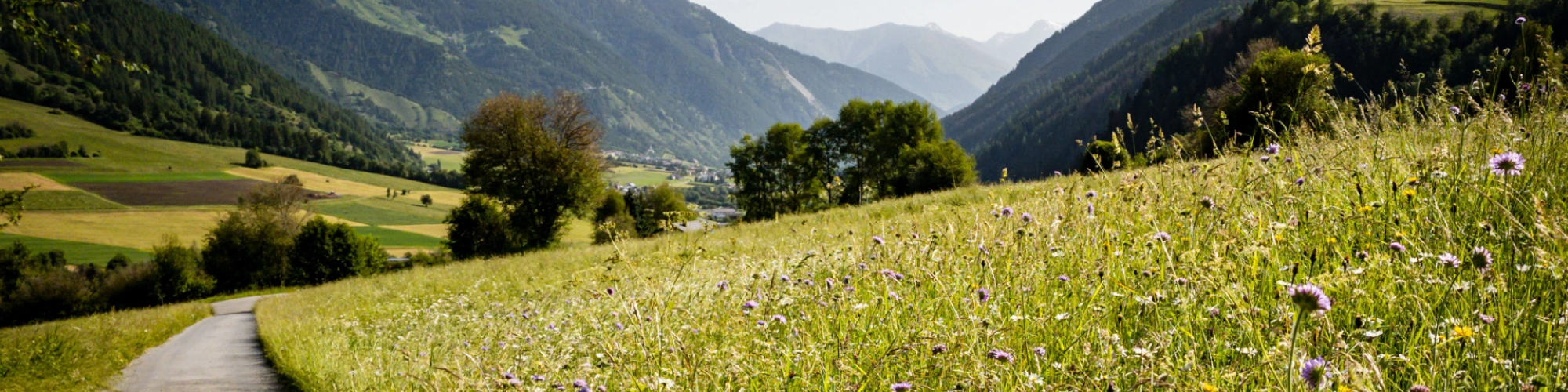 Biosfera Val Müstair