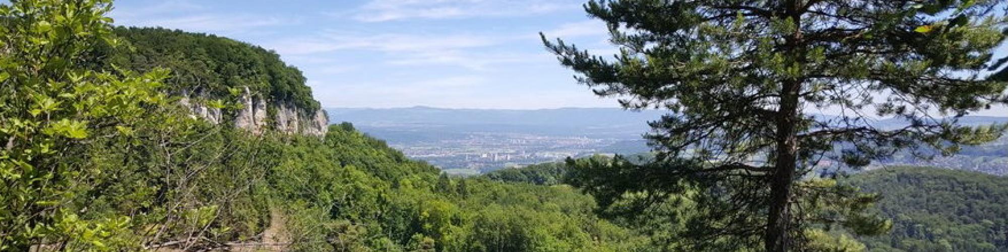 Freiwillige für Geflüchtete Frenkendorf Füllinsdorf FfGFF