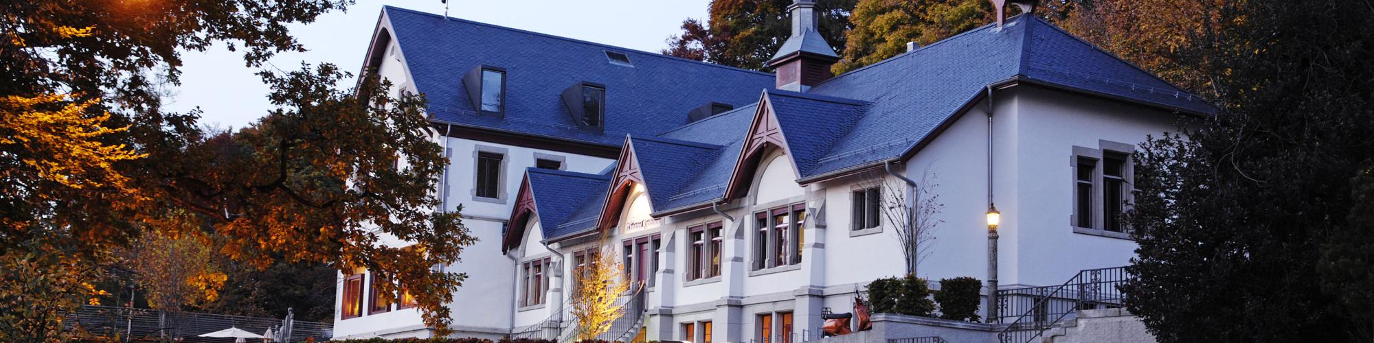Theater Rigiblick