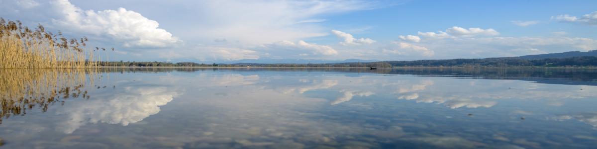 Greifensee-Stiftung cover