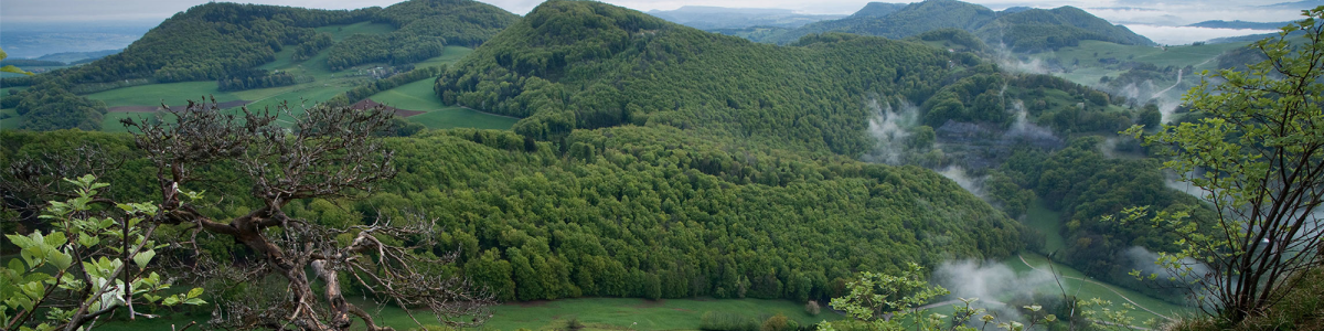 Jurapark Aargau cover