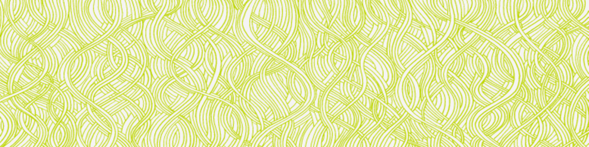 IPU Schweiz cover