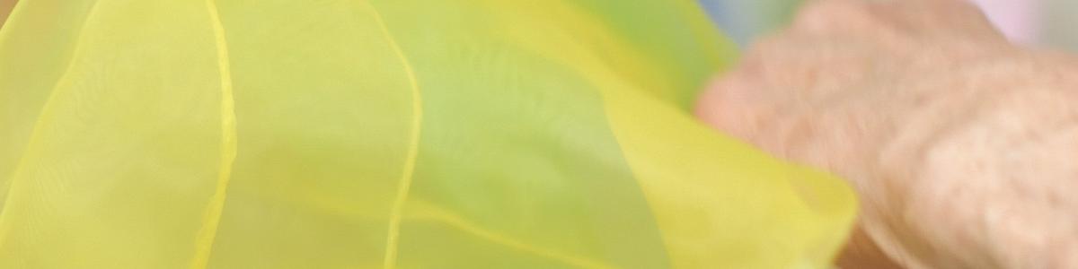 VEREIN PILATUSBLICK – LEBEN MIT DEMENZ cover