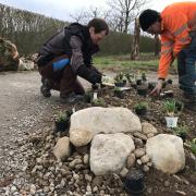 Ökologische Aufwertung im Siedlungsraum