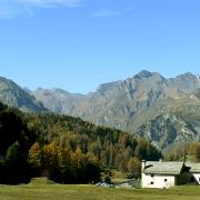 Bildergalerie