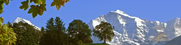 Meditationszentrum Beatenberg cover image