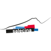 Salecina