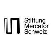 Für unseren Kunden, Stiftung Mercator Schweiz, suchen wir eine:n Portfoliomanager:in Digitalisierung + Gesellschaft 80 % job image
