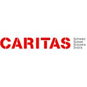 Verantwortliche/r Institutionelles Fundraising 60 % (m/w/d) Verantwortliche/r Institutionelles Fundraising 60 % (m/w/d) job image